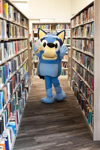 Bluey in the library